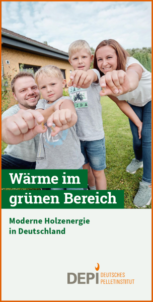 Flyer-Moderne-Holzenergie